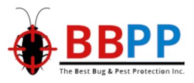 Carpenter Ant Removal Woodbridge Same-day Emergency Service
