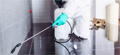 Carpenter Wasp Removal service Concord – Same-day Emergency Service Ontario