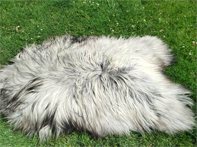 Heidschnucke Premium Sheepskins
