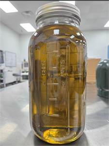 Premium Cold-Pressed Hemp Oil for Everyday Wellness