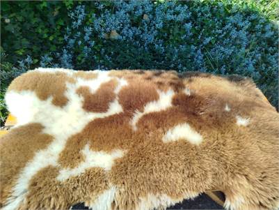 Premium Dutch Sheepskins