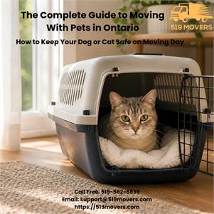 Pet-Friendly Moving Preparation for Your Next Ontario Move