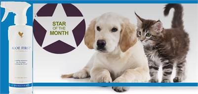 Forever Aloe First – Care for Your Pets