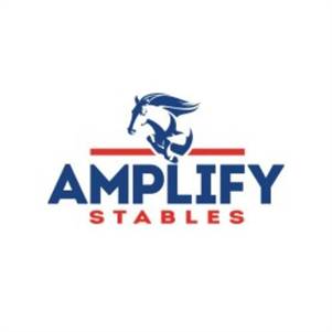 Horse Boarding Services Toronto - Amplify Stables