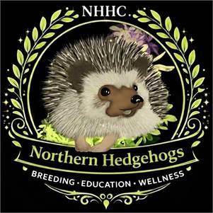  Pedigreed Hedgehogs from Registered Breeder