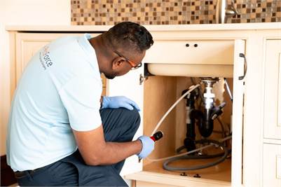 Mice Control Calgary for Homes & Businesses