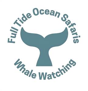 Full Tide Ocean Safaris
