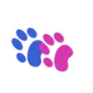 Pet Care Kitchener – Bruce St Animal Hospital You Can Trust